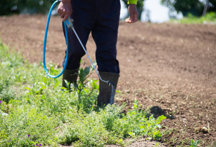 除草剤散布の様子