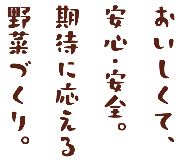 おいしくて、安心・安全。期待に応える野菜づくり。